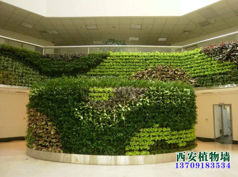 室内植物墙系统常见问题及解决办法