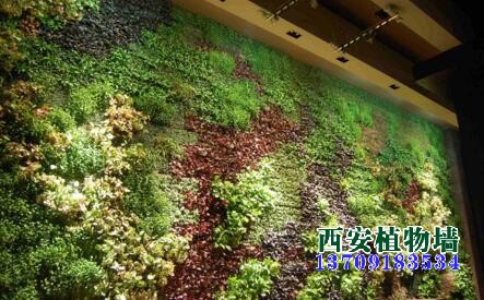 郑州植物墙厂家浅谈植物墙的制作方法